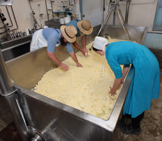 LeRaysville Cheese Factory