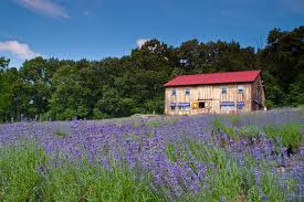 Peace Valley Farm